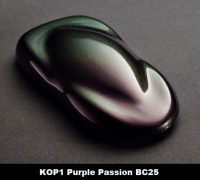 /album/acabamentos/kop1-purple-passion-bc25-jpg1/